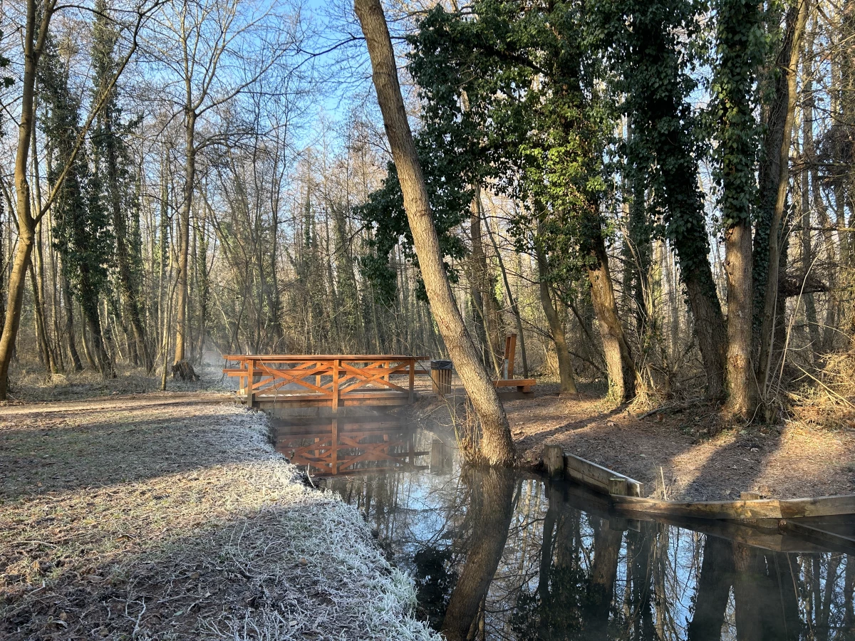 Véderdő